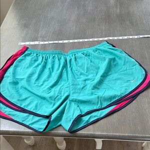 Nike Women's Teal and Pink Athletic Shorts